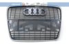 JOHNS 13 19 05 Radiator Grille